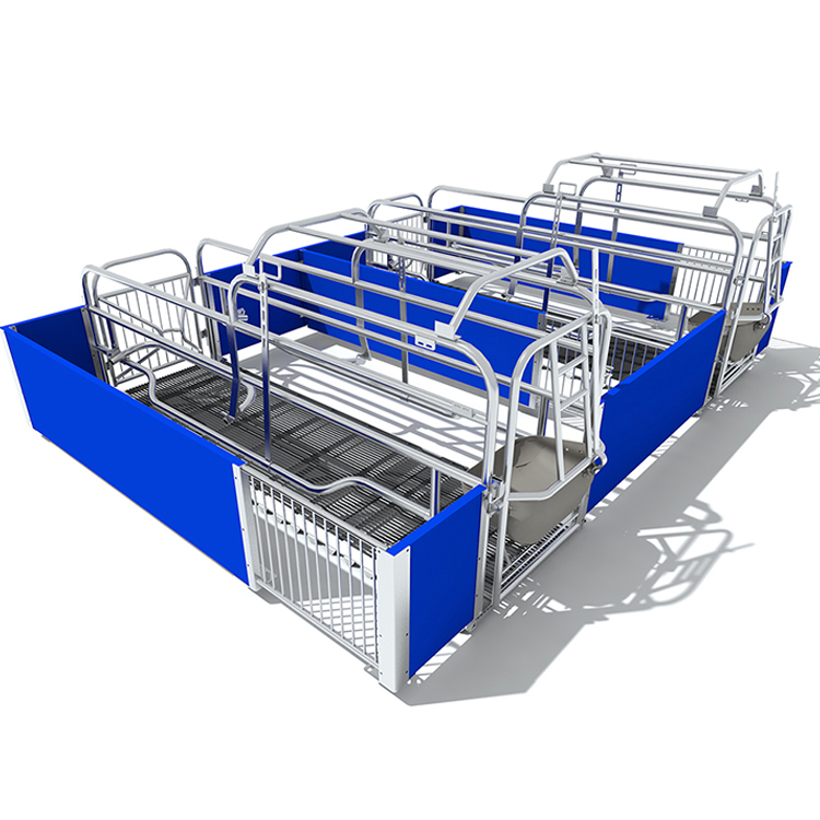 Cerdo Granja Construcción Cerdo Granja Casa Diseño Cerdo Caja de parto